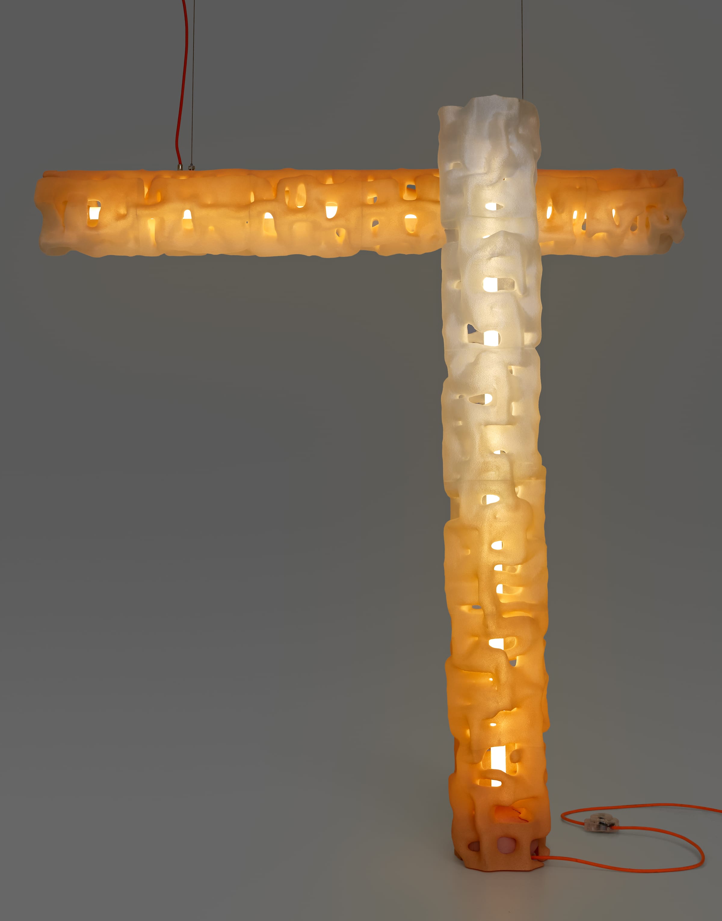 ALHERD Floor Lamp and Pendant Lamp together